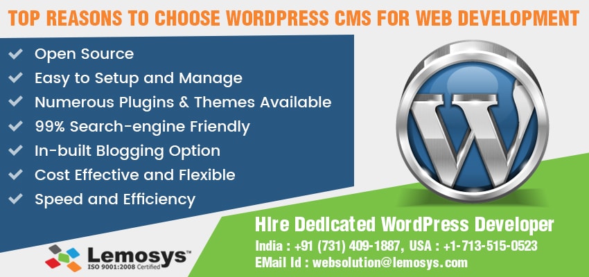 WordPress CMS